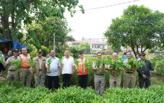 Warga Apresiasi Program Penghijauan di Ruang Terbuka Hijau Kota